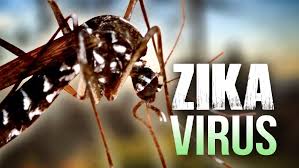 ZIKA:  THE BASICS OF THE VIRUS AND HOW TO PROTECT AGAINST IT 